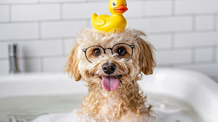 Paws Spas