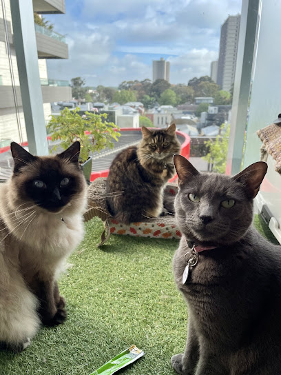 Richmond Cat Care