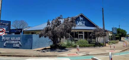 Port Adelaide Veterinary Clinic & Cattery