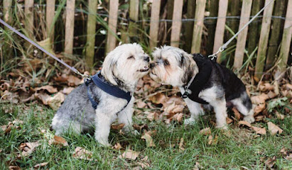 Wanneroo Dog Boarding Kennels