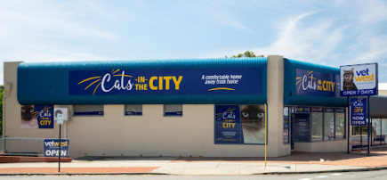 Cats in the City by Vetwest