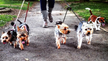 Waggy Trails