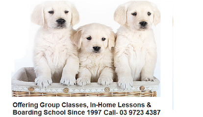 Eastern Companion Dog Training