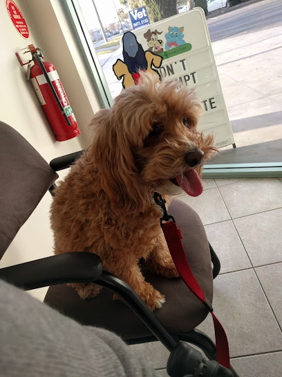 Reservoir Veterinary Clinic