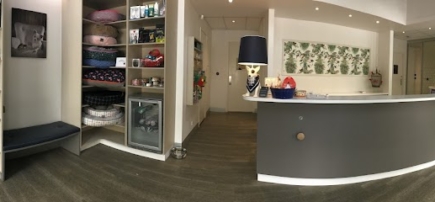 Village Vet -Toorak