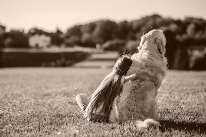 Passing Paws Pet Cremations