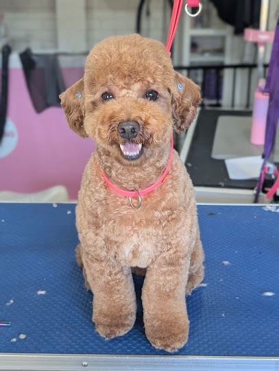 Dog grooming by Nat