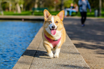 Pawsitive Dog Training Solutions and Pawsitive Investigations