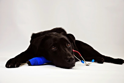 Hampton Park Veterinary Hospital