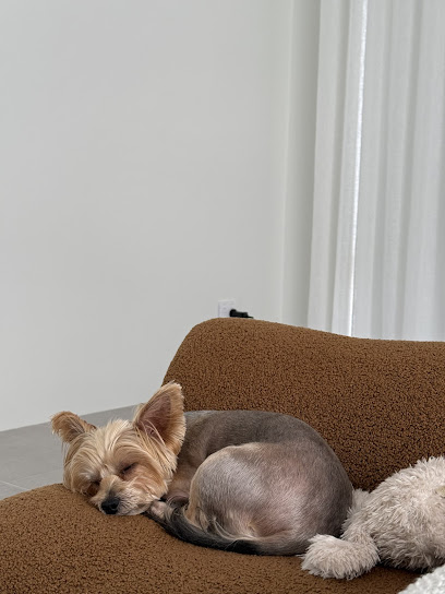 Ratty to Regal Dog Grooming
