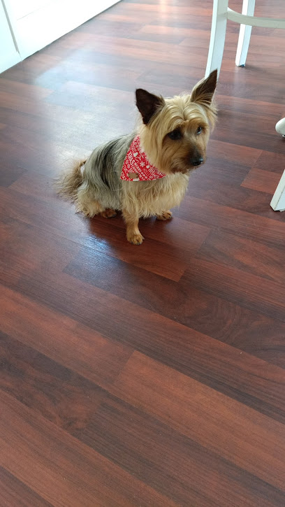 The Pooch Beauty Salon – Hoppers Crossing