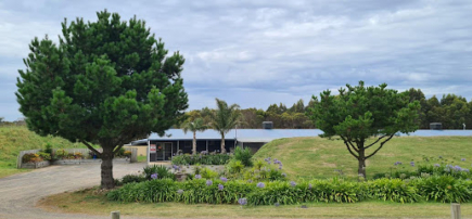 Top Dog Pet Resort