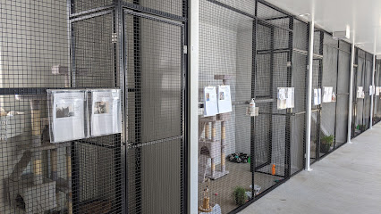 Blue Cross Animals Society of Victoria