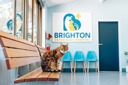Brighton Veterinary Hospital