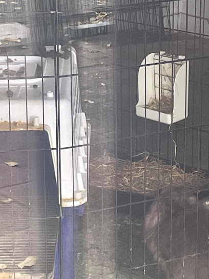 Animal Desexing Clinic