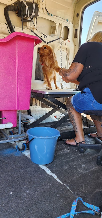 Poochie Paws Mobile Dog Wash