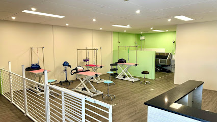 Cozy Fluffy Pet Salon WA
