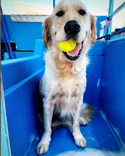 Aussie Pooch Mobile Dog Wash Wanneroo