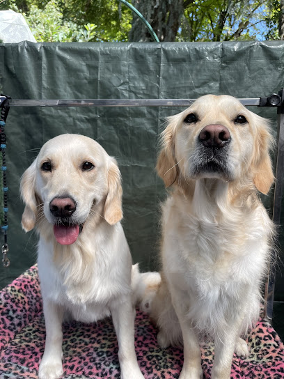 Pixie Dixie Paws Dog Grooming