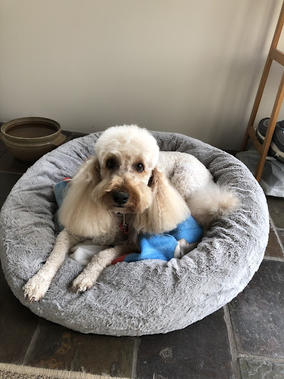 A Pooch Parlour