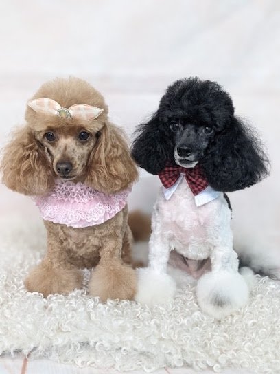 Shampooches for Dogs