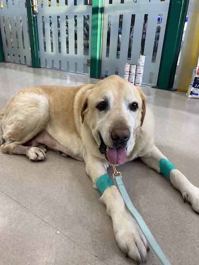 Greencross Vets Narre Warren