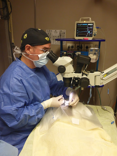 Hilton Vet Hospital