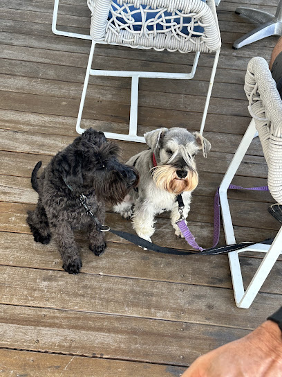 Pooch-n-Peeps