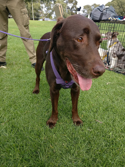 Dover Gardens Kennel & Obedience Club Inc