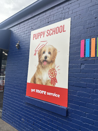 Petstock South Melbourne
