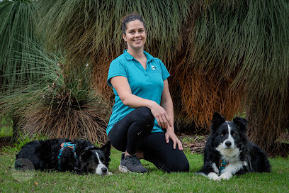 Happy Dogs Walks and Training