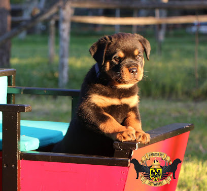 FANTASTIK PAWS PET RESORT & GROOMING