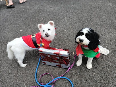 Mountain District Dog Club Inc.