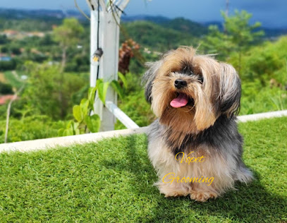 Vopet grooming