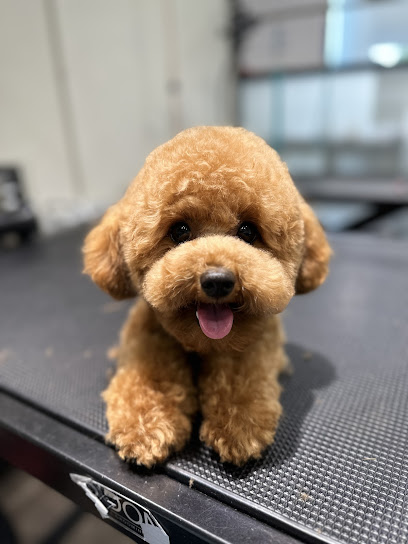 Paws N’ Stuff (Glen Waverley)