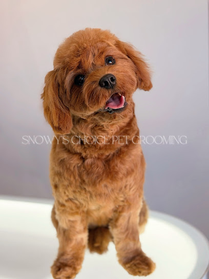 Snowy’s Choice Pet Grooming