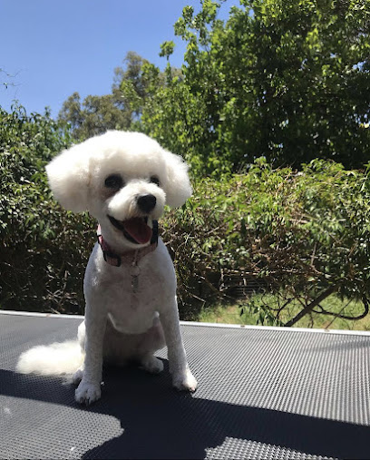 LA Clippers Pet Grooming