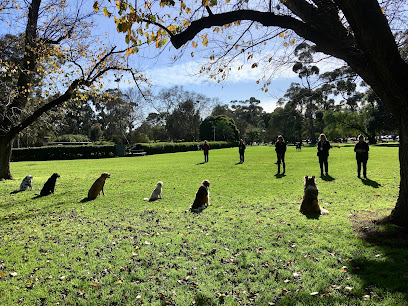 South Australian Obedience Dog Club