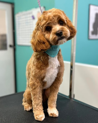 Molly & Me Dog Grooming