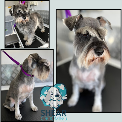Shear Grooming