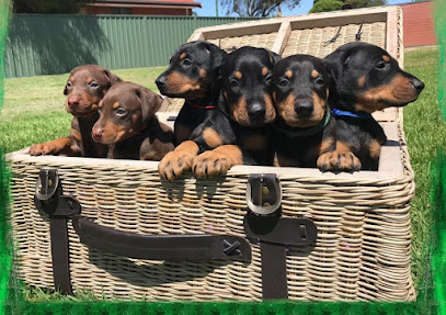 Valkyrian Dobermanns