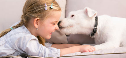 Wanneroo Veterinary Hospital