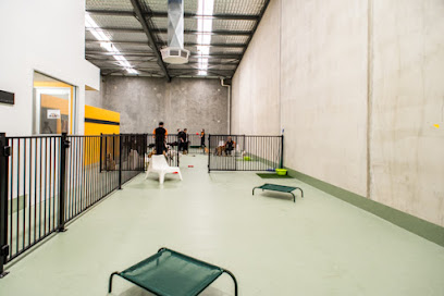 Dogcity Thebarton