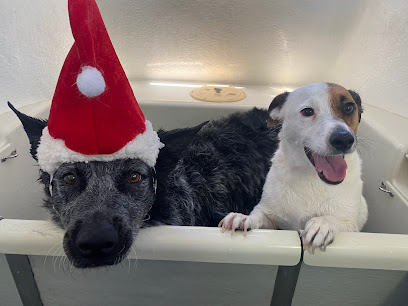 Furtastic Dog Wash (Byford)