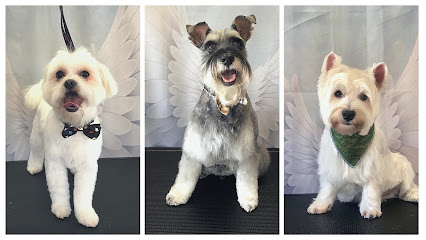 Little Angels Pet Grooming