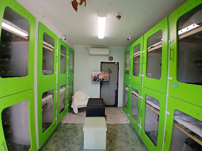 Stella Cat Hotel