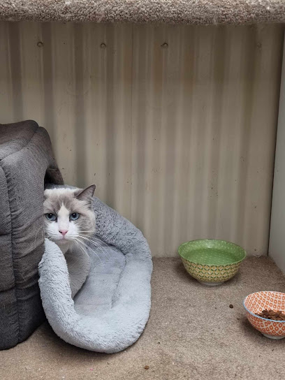 The Purrfect Cattery