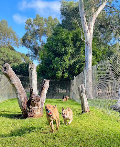 Perth Pet Club