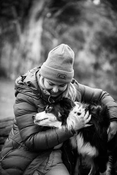 Refreshing Paws Dog Training