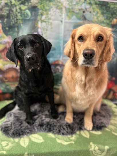 Pawsome Doggy Day Care & Grooming Salon